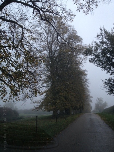 misty autumn morning in England by emmaline.co.uk craft blog