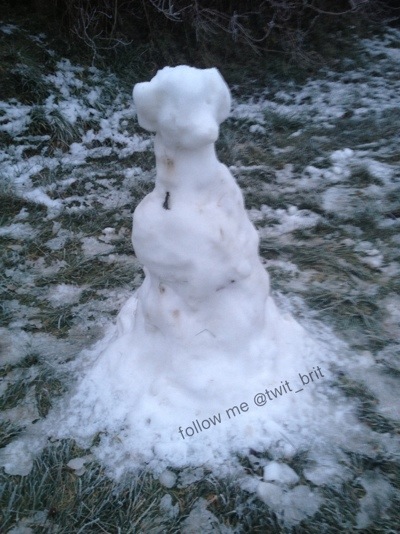 snowdog snow dog snowman