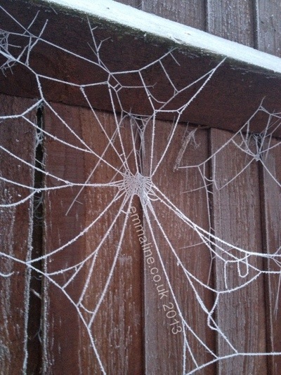 Frosty spider web by @twit_brit from UK craft blog emmaline.co.uk